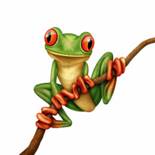 Image result for green tree frog art